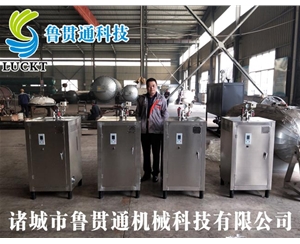 電蒸汽鍋爐 各種型號現貨供應，型號不同，功率不同，可適用于多種行業(yè)，歡迎來(lái)單咨詢(xún)
