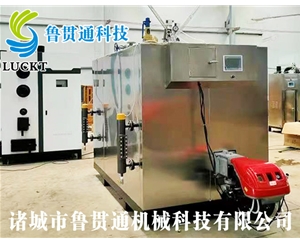 1噸燃氣（油）蒸汽發(fā)生器 現貨供應，工廠(chǎng)直銷(xiāo)，規格型號眾多，可來(lái)電咨詢(xún)