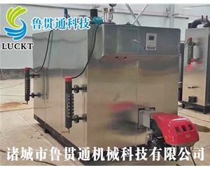 燃氣（油）蒸汽發(fā)生器 現貨供應，工廠(chǎng)直銷(xiāo)，規格型號眾多，可來(lái)電咨詢(xún)