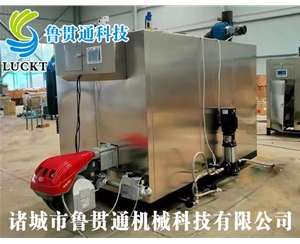 1噸燃氣（油）蒸汽發(fā)生器 現貨供應，工廠(chǎng)直銷(xiāo)，規格型號眾多，可來(lái)電咨詢(xún)